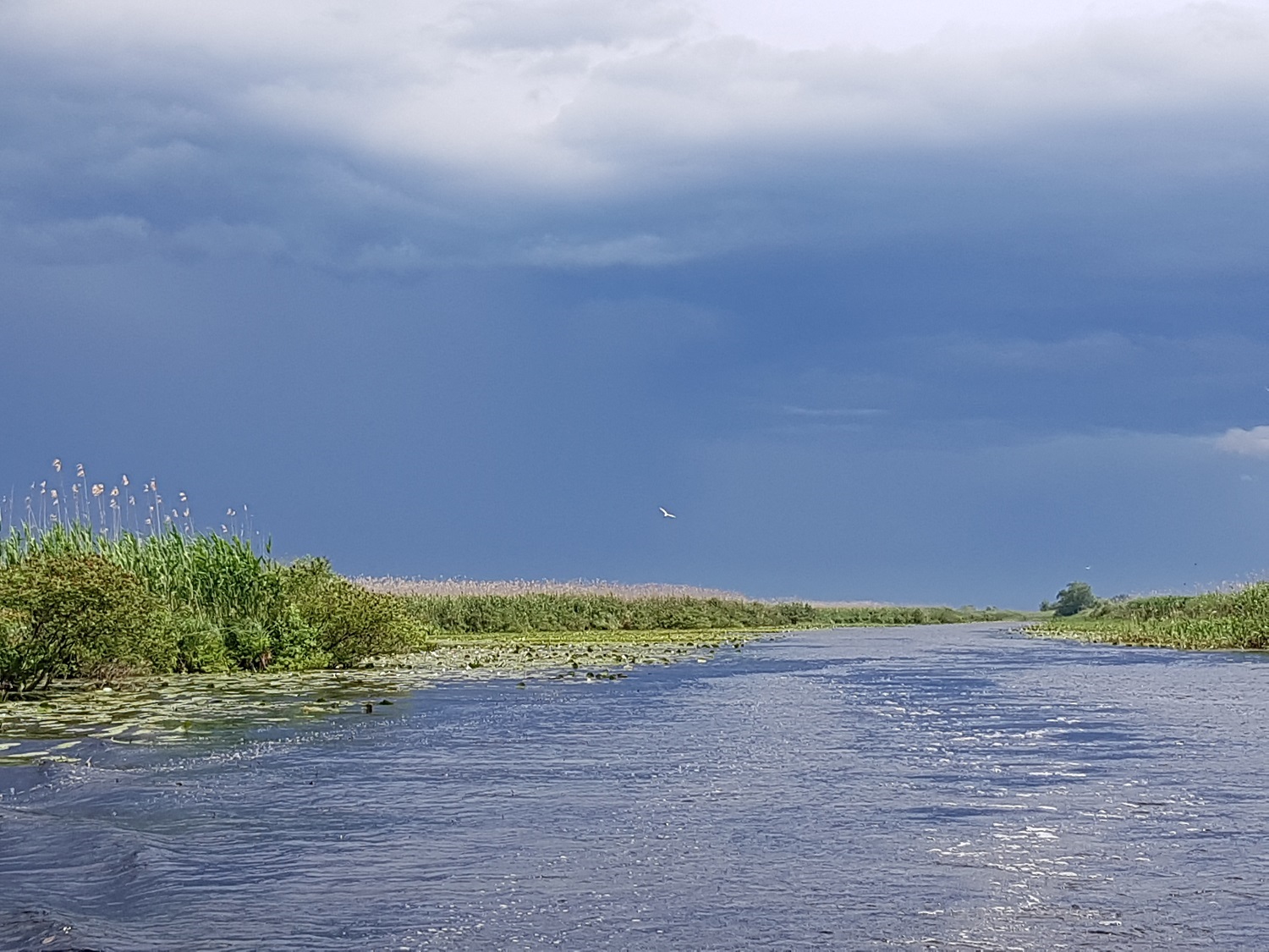 Paysage du Delta un jour de tempête ( photo : Petre Vasiliu) 