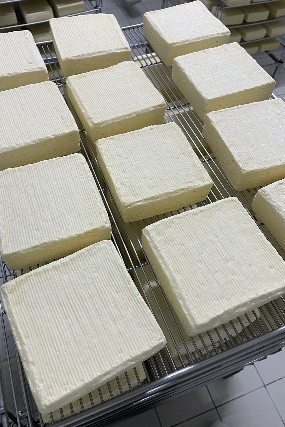 Les fromages sont ensuite placés dans un séchoir ventilé. © Globe Reporters