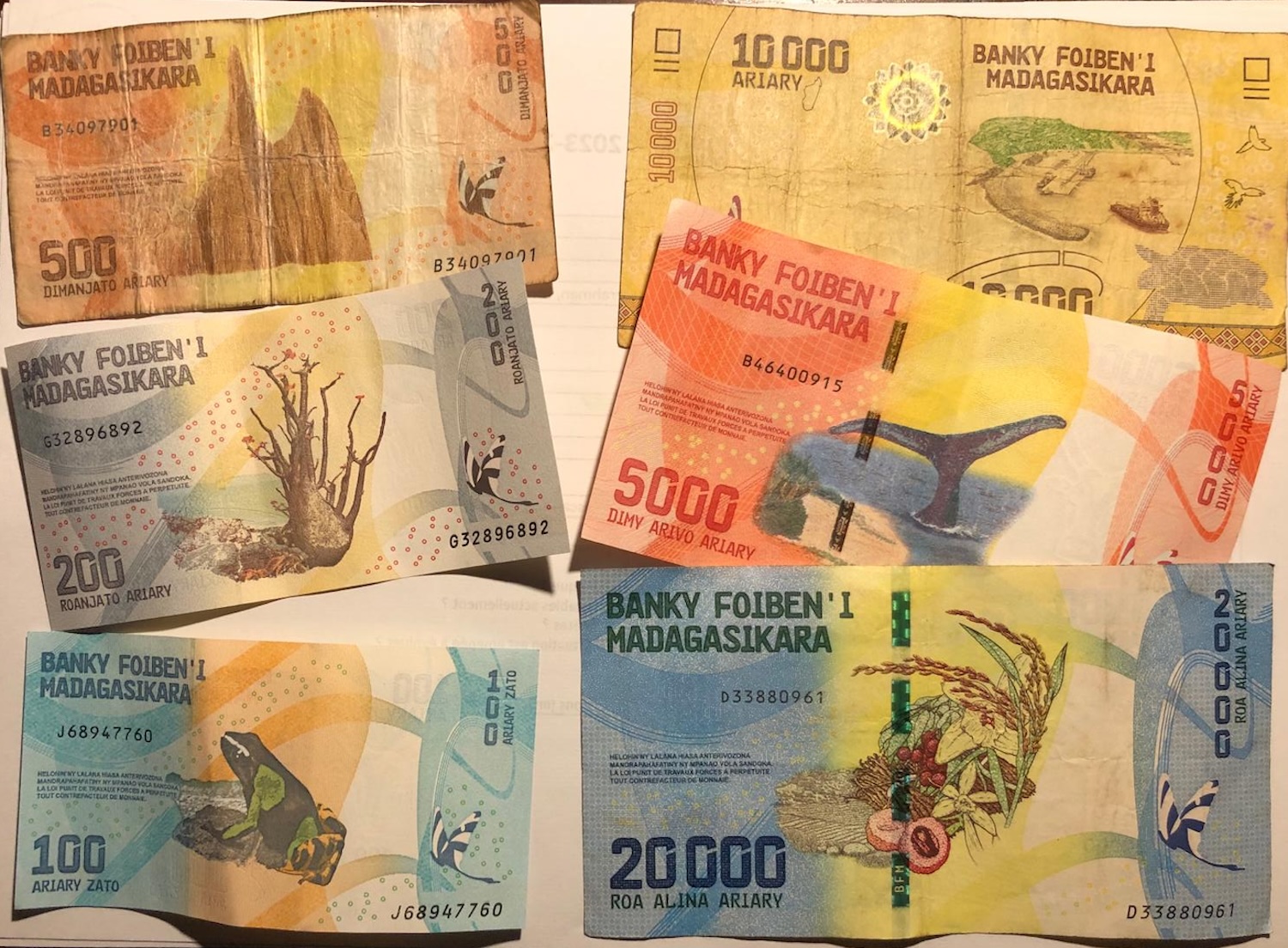 L’ariary est la monnaie nationale de Madagascar © Globe Reporters