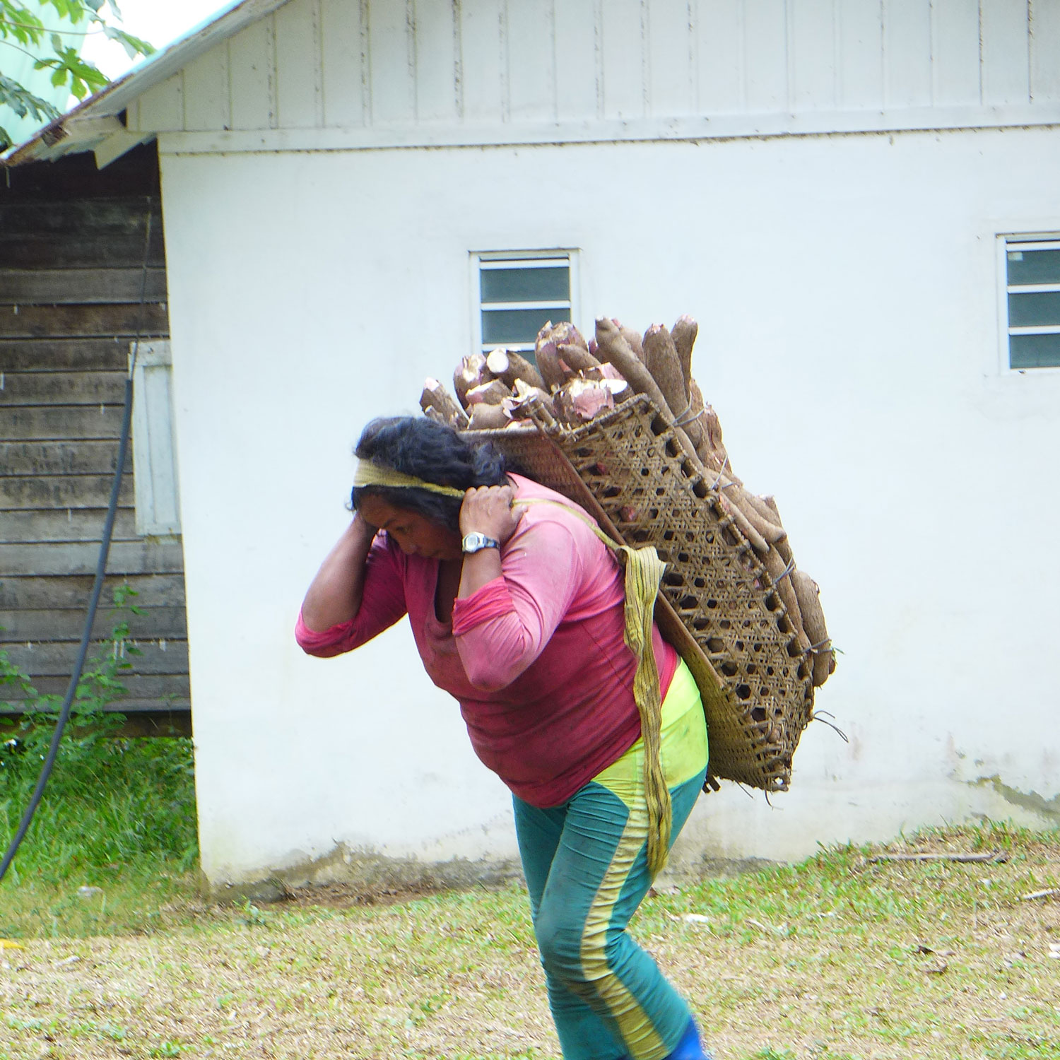 Ancelle portant près de 50 kg de manioc sur son dos.