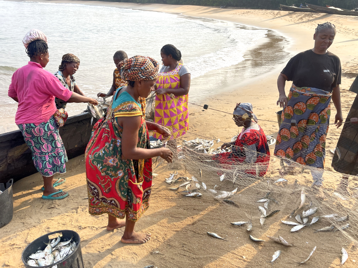 Comme il n’existe pas de quoi conserver le poisson à Ebodjé et que les pêcheurs ne pouvaient pas partir en mer à cause de la houle, la population n’a mangé que des tubercules et des légumes depuis plusieurs jours. C’est la fête ce matin !  © Globe Reporters