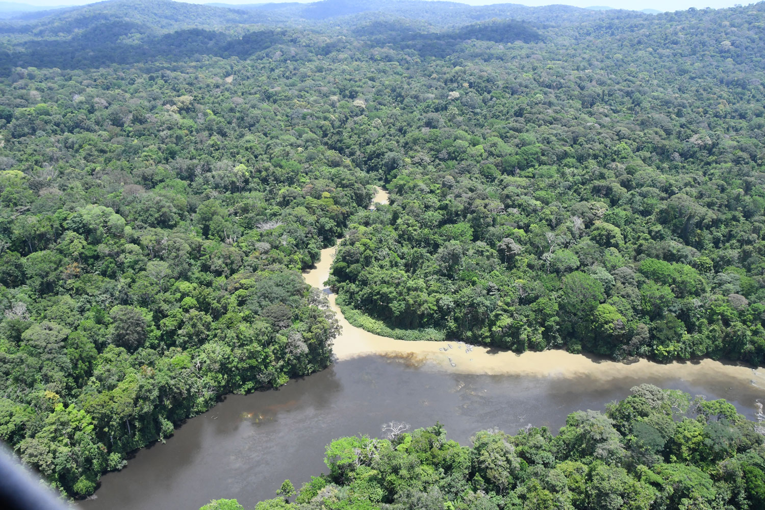 Confluence des Inipi et Camopi. Des eaux polluées par l’orpaillage – crédit Parc amazonien