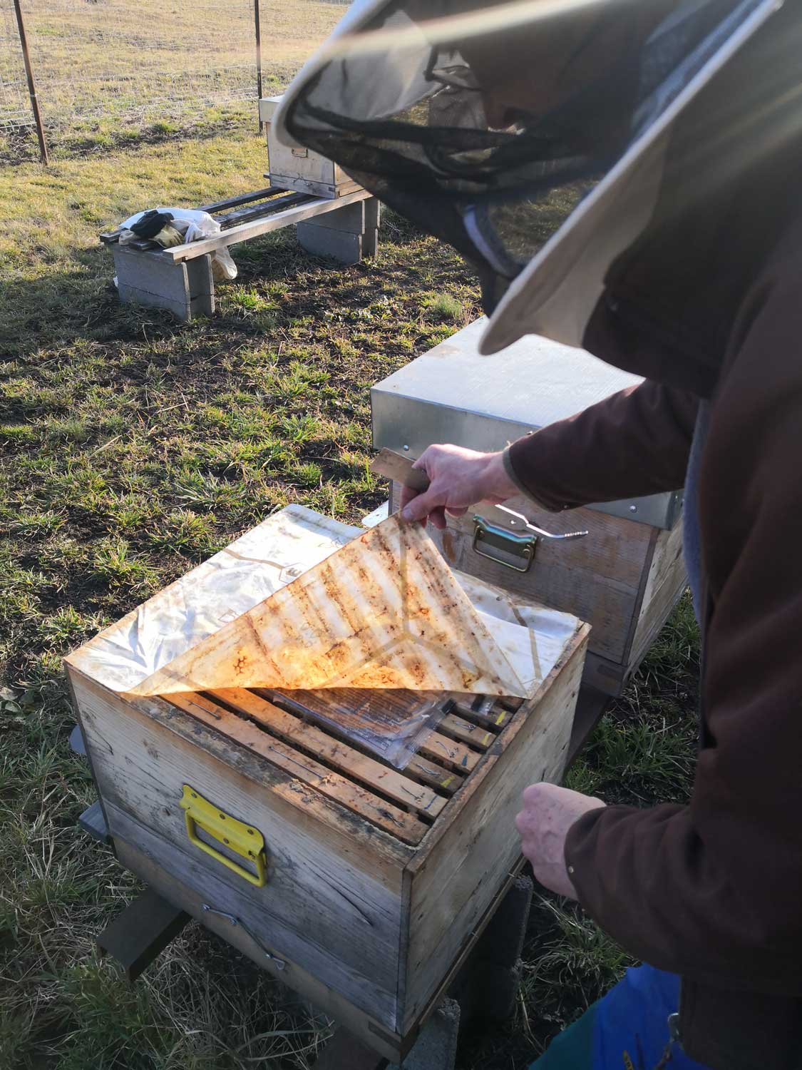 Denis en train d’ouvrir l’une de ses ruches © Globe Reporters