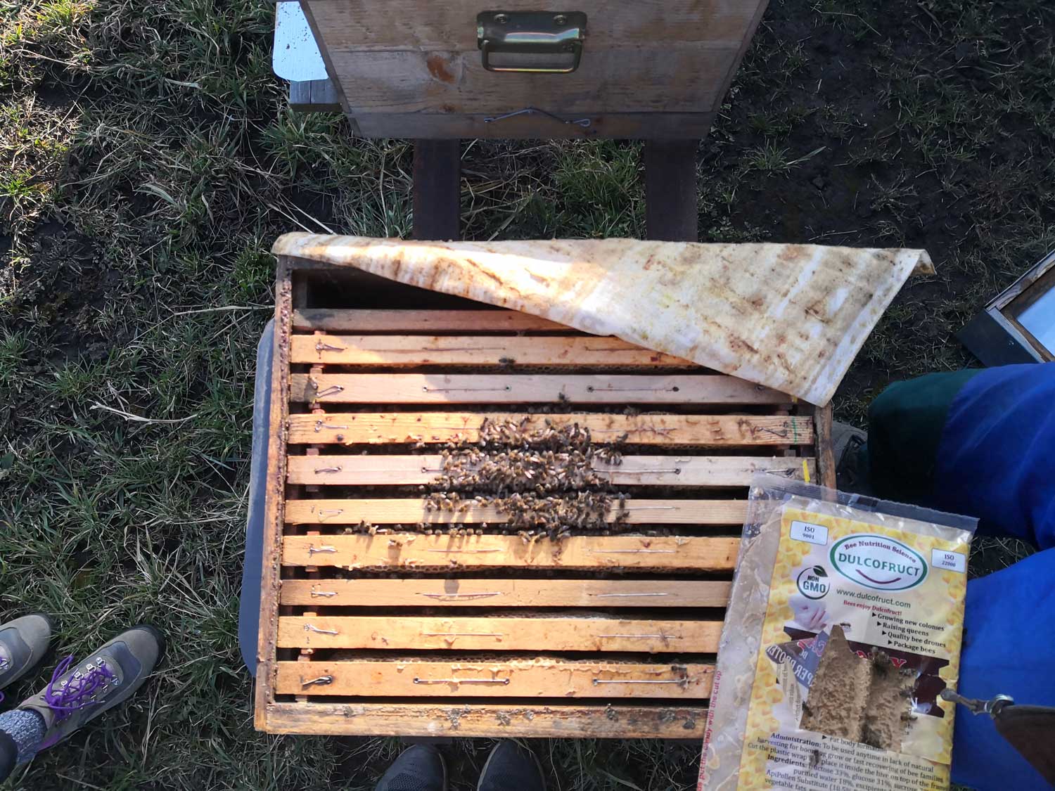 Un sachet avec de la nourriture à la droite des abeilles pour leur permettre de manger pendant la saison froide © Globe Reporters