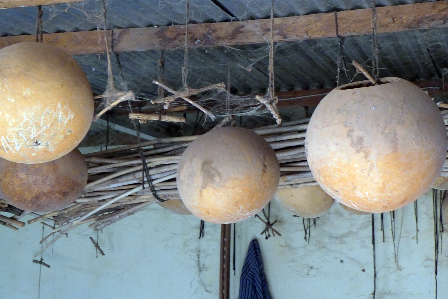 Des dizaines des calebasses pendent du toit. Elles sont utilisées pour la fabrication des ngonis et des koras.