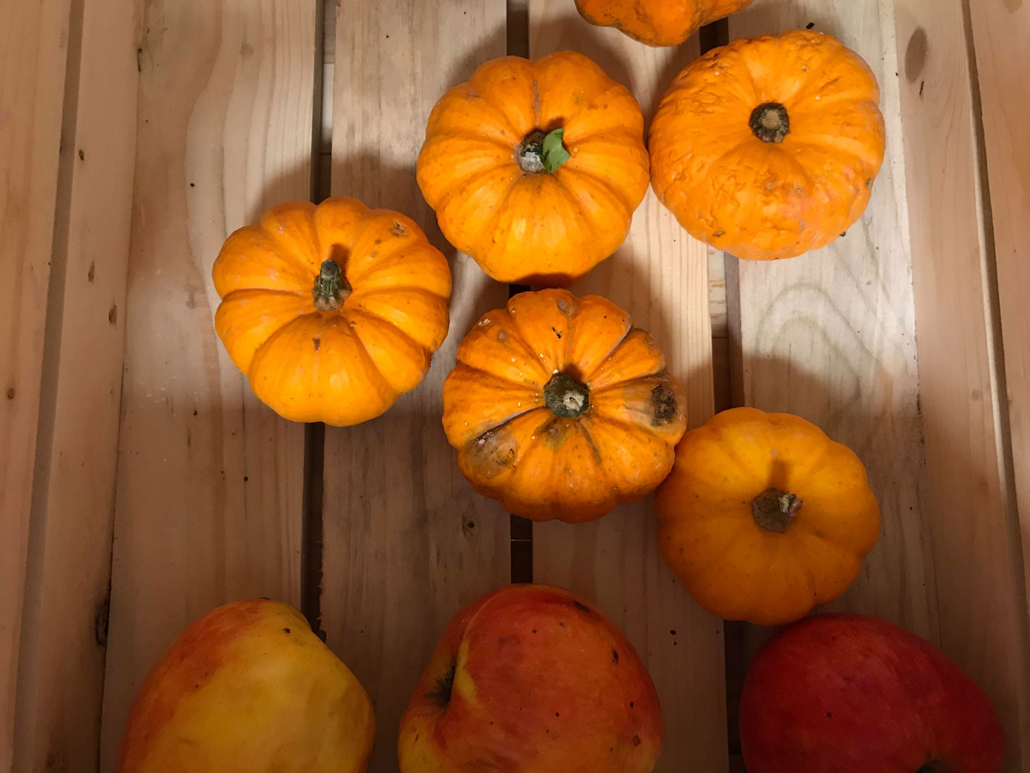 Des pommes aux potimarrons, des fruits et légumes de saison © Globe Reporters