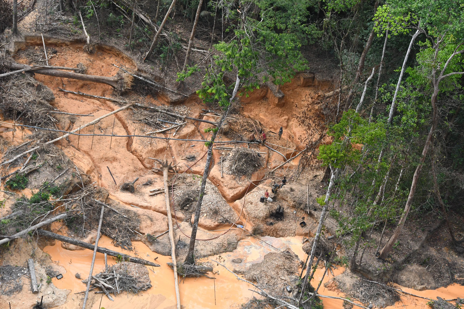 Impacts de l’orpaillage sur la forêt – crédit Parc amazonien