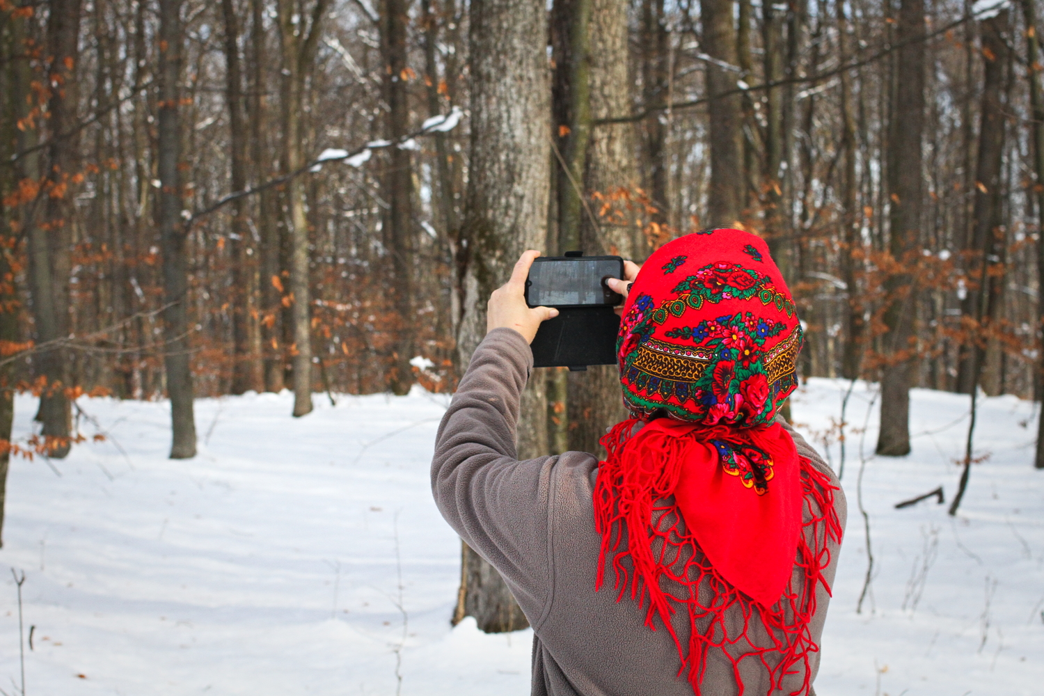 Laura prends des photos de la forêt pour ses étudiants à l’Université. © Globe Reporters