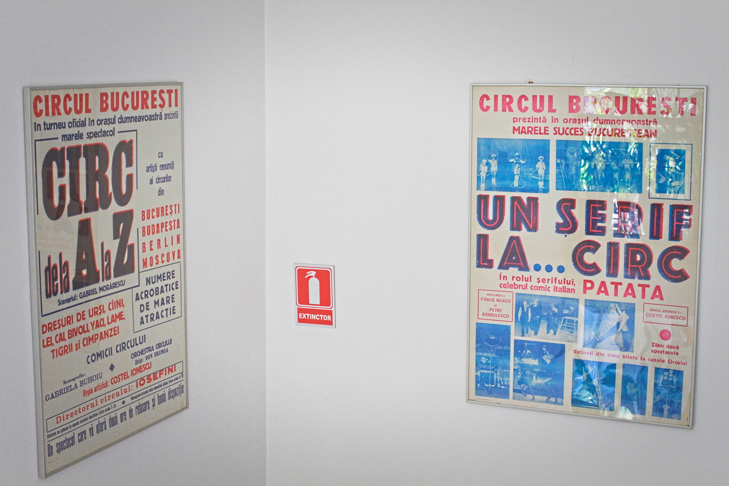 Anciennes affiches de spectacle du “Circus Bucuresti”, ensuite appelé “Circus Globus” © Globe Reporters