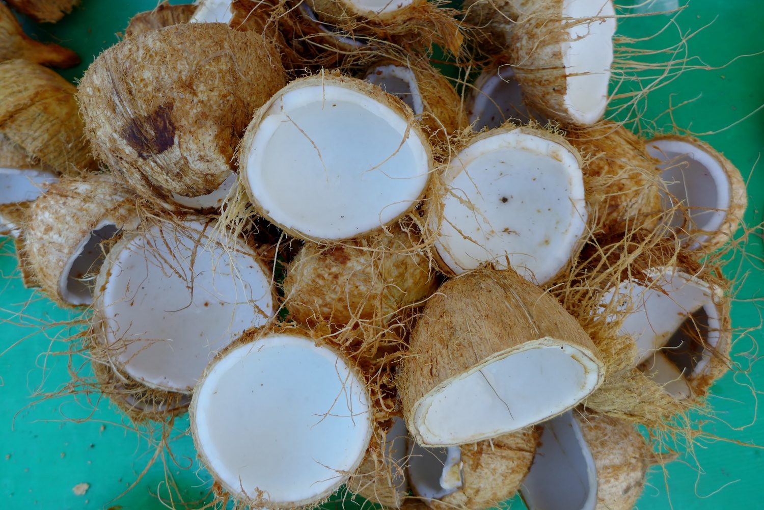 La noix de coco peut aussi se boire en jus, en lait, ou être mangée fraîche directement dans la coque.