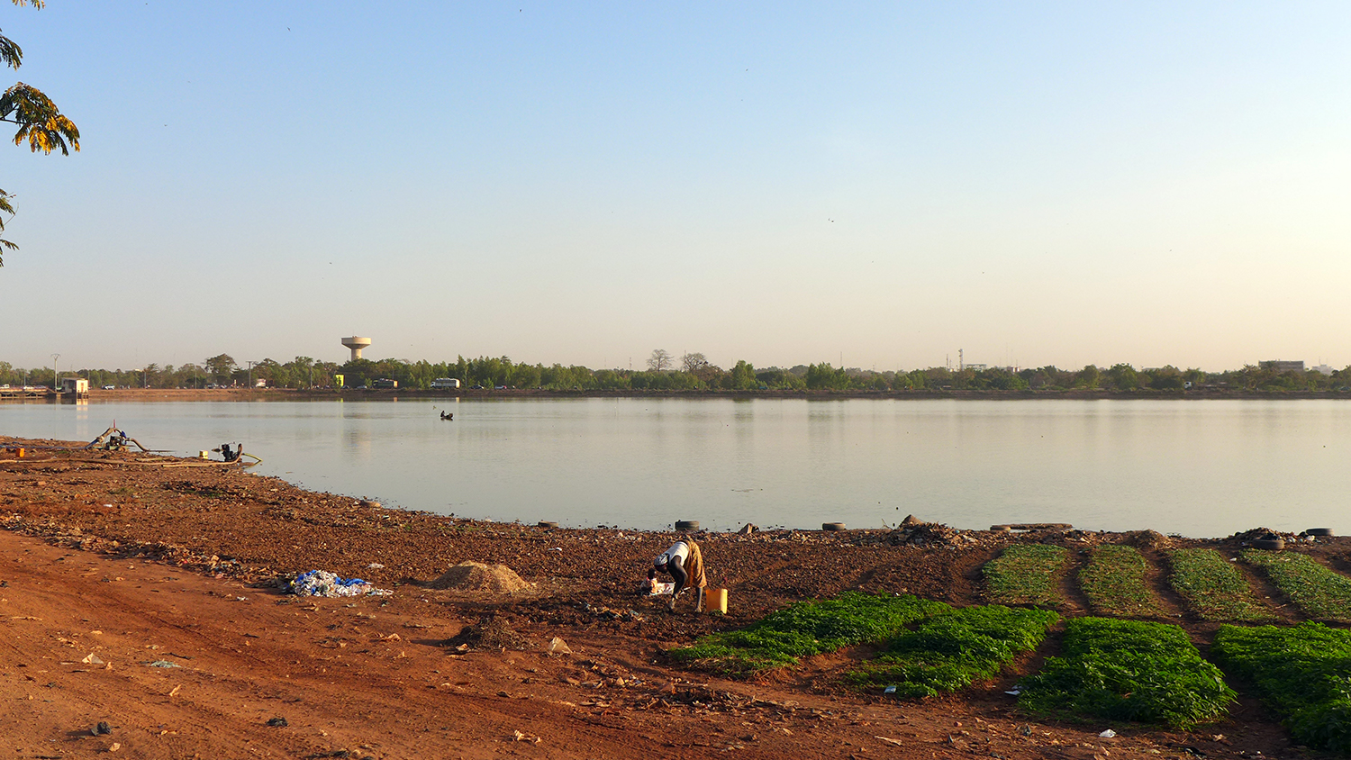 Pendant la saison sèche, la population profite de la descente des eaux au barrage pour faire du maraîchage. 