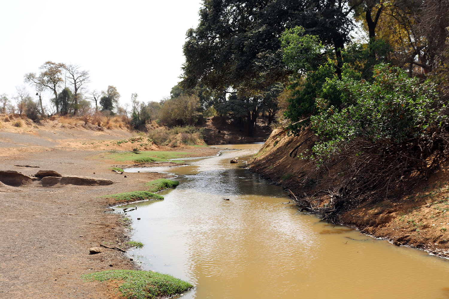 La rivière Pendjari marque la frontière entre le Burkina Fasso (rive gauche de la rivière) et le Bénin (rive droite).