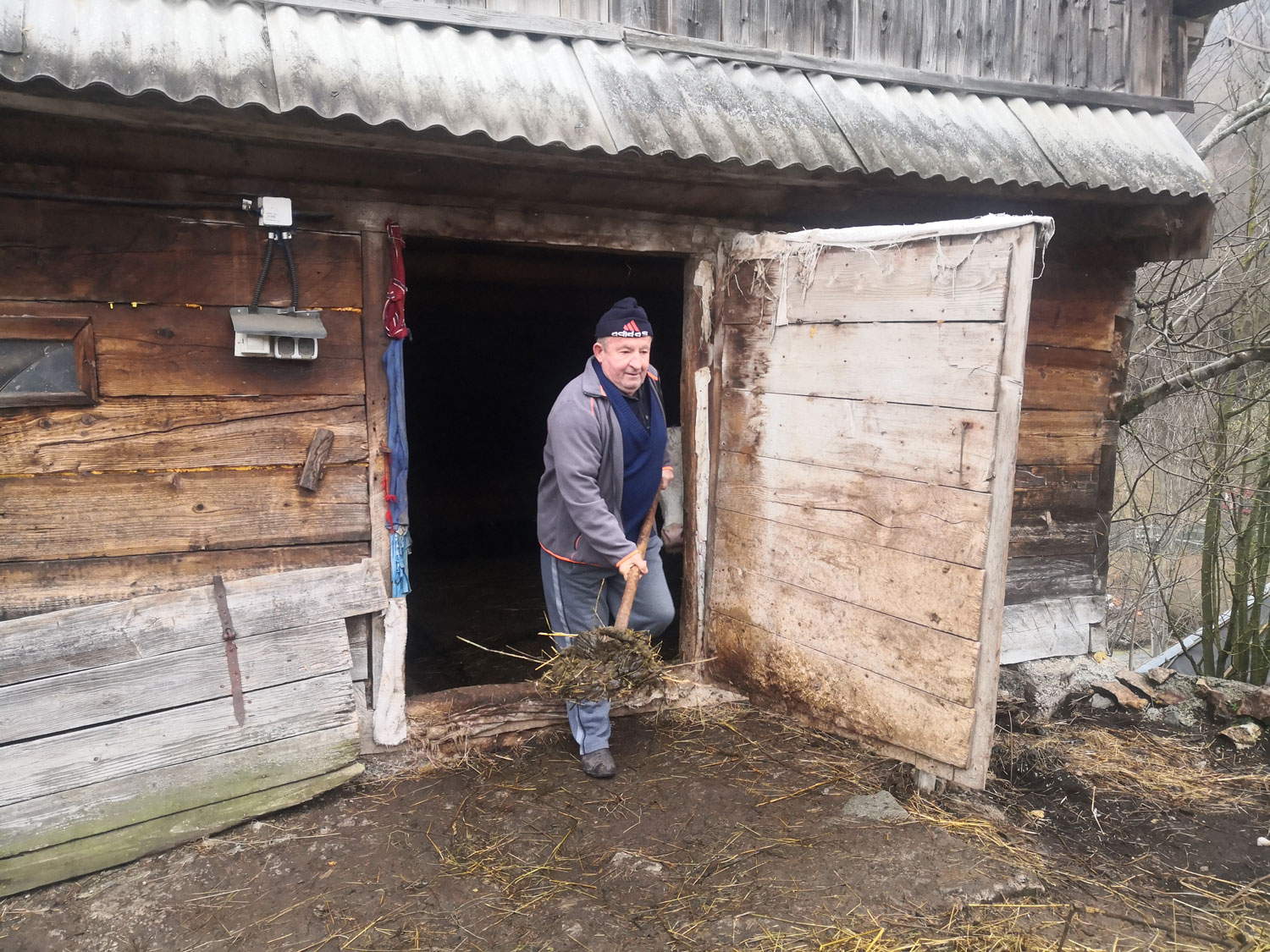 Zeno CORNEA en train de nettoyer l’abri de ses vaches à notre arrivée chez lui © Globe Reporters