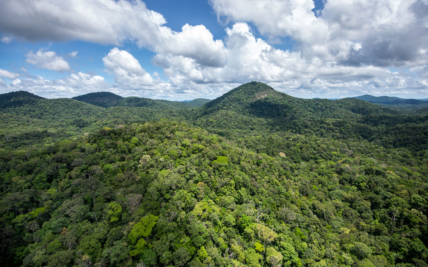 Relief au cœur de forêt guyanaise - crédit Gilles Kleitz pour le Parc amazonien de Guyane
