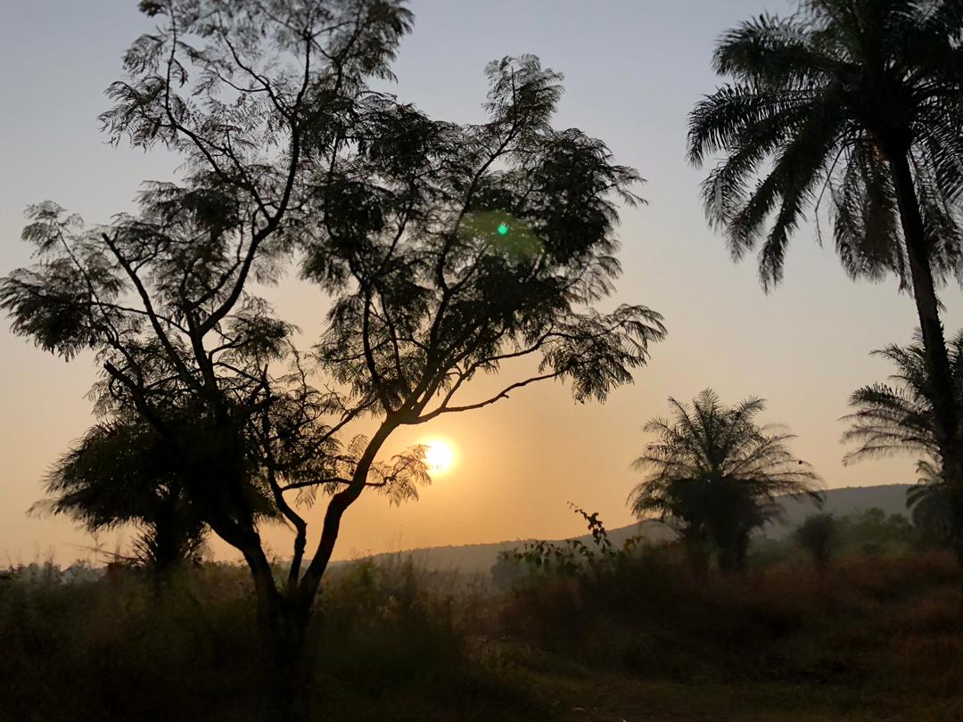 Départ de Conakry à 5h30, le soleil se lève sur la jungle à une centaine de kilomètres de Kindia.