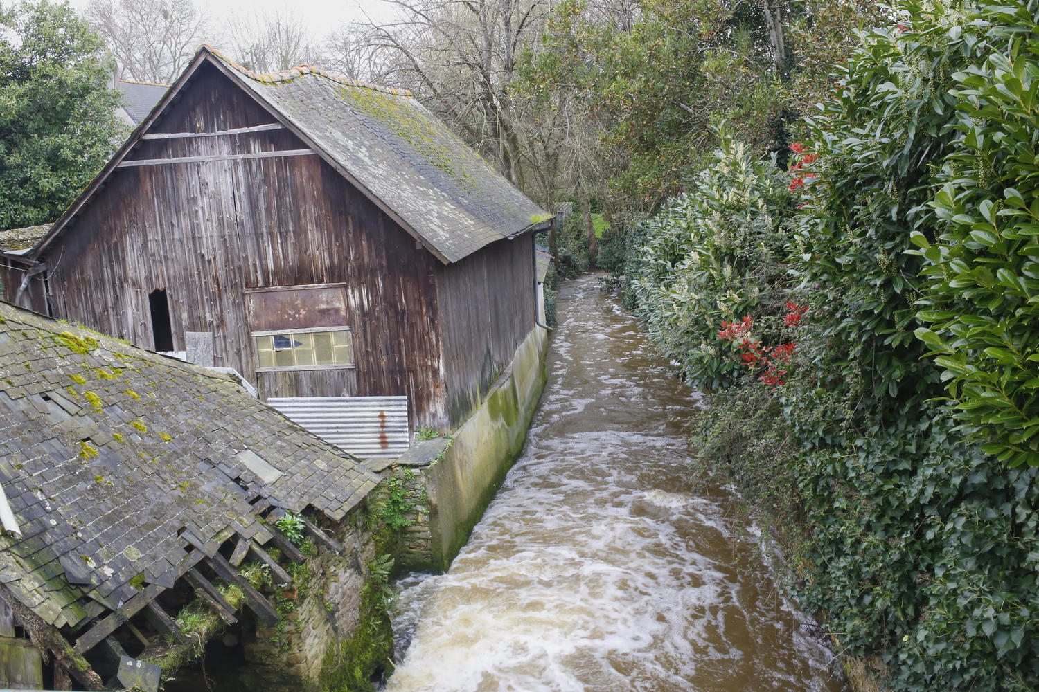 Petite rivière appelée « La Chère », qui traverse Châteaubriant © Globe Reporters