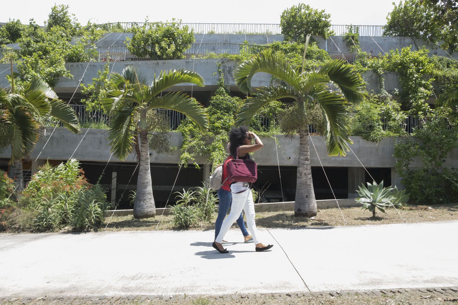 L’entrée du campus du Moufia à Sainte-Clothilde, à La Réunion. L’université de la Réunion compte plus de 10 000 étudiants inscrits dans cinq UFR différents : Droit et Economie ; Sciences et Technologies ; Lettres et Sciences Humaines ; Sciences de l’Homme et de l’Environnement ; Santé.