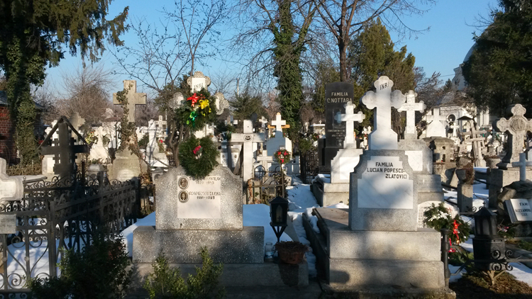 Un cimetière