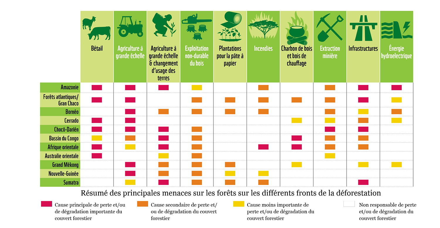 Les menaces de la déforestation. ©WWF Rapport Forêt Vivante