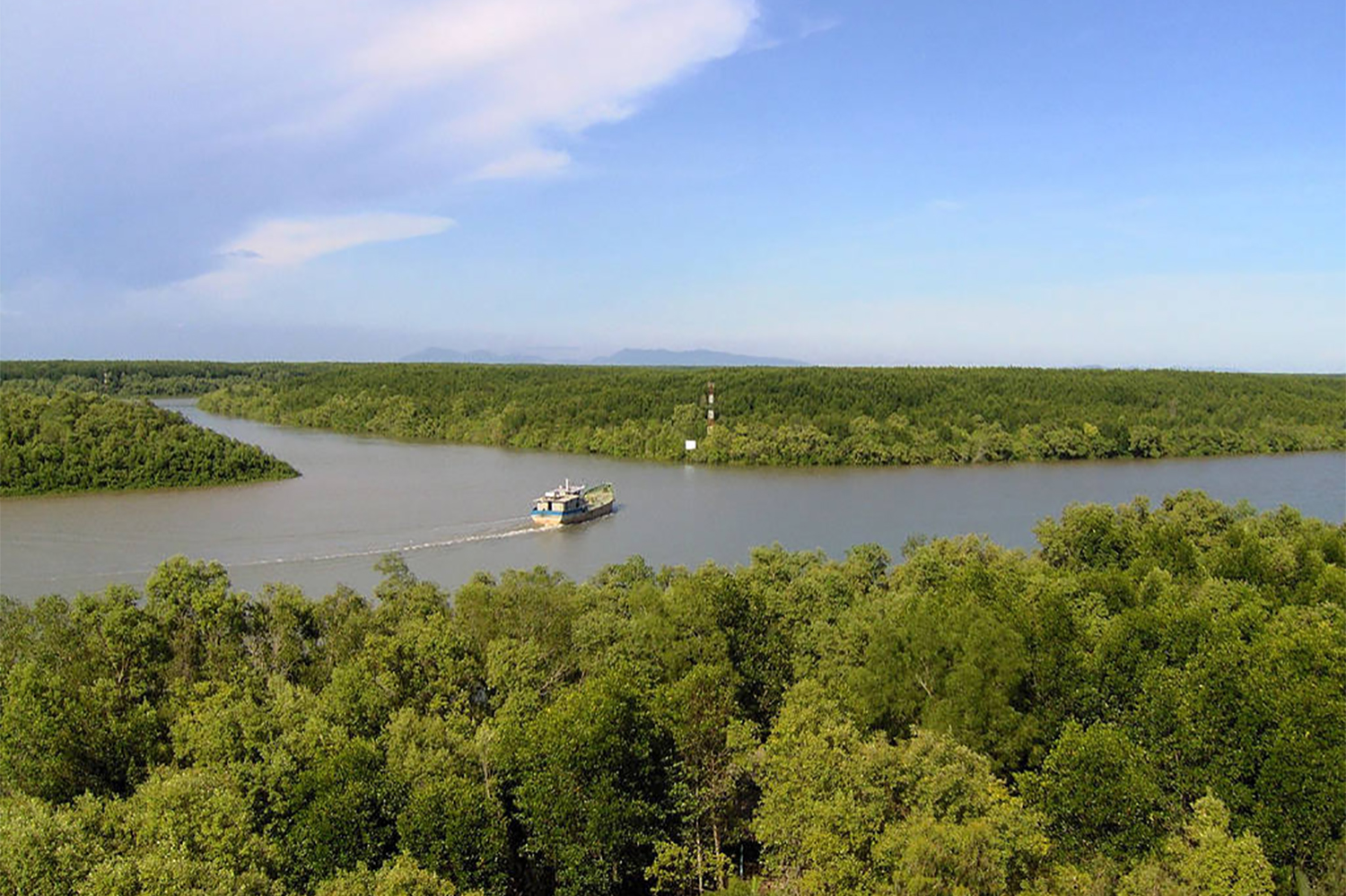 Des excursions éco-touristiques sont organisées pour faire connaître la mangrove et sensibiliser le public sur les effets de sa potentielle disparition. 