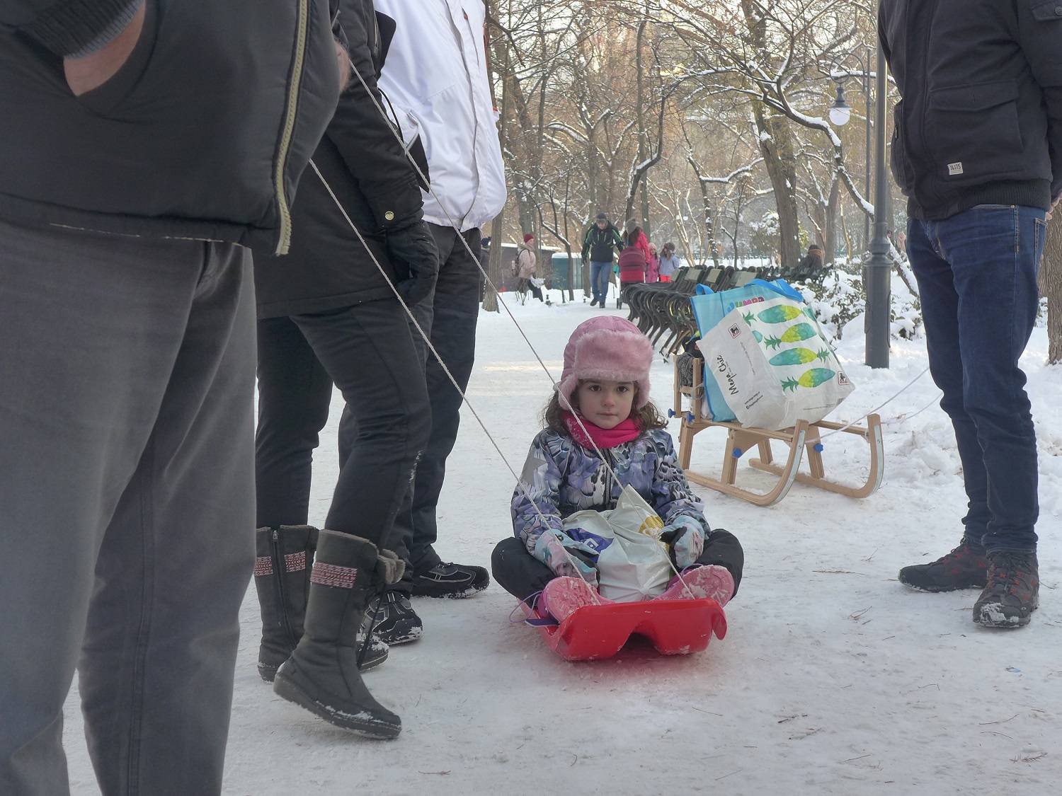 Beaucoup d’enfants sortent les luges, comme ici dans le parc Cismigiu