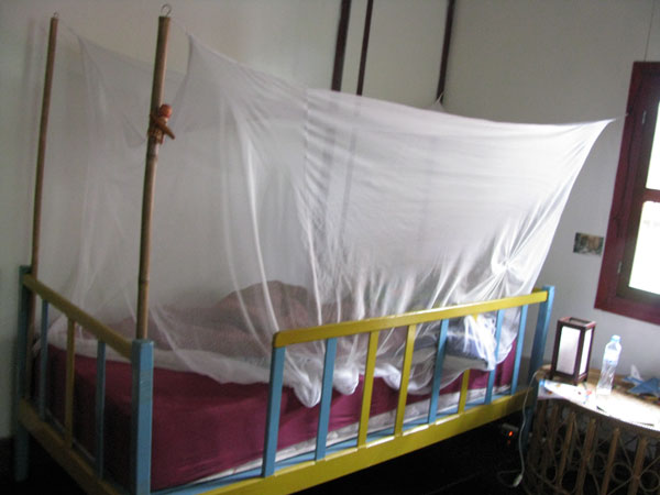 Un lit avec la moustiquaire.