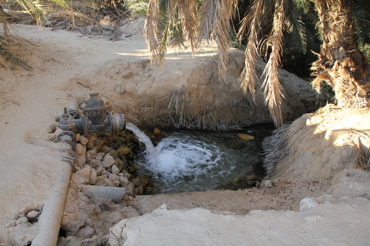 L’eau s’écoule vers l’ancienne palmeraie de Tozeur.