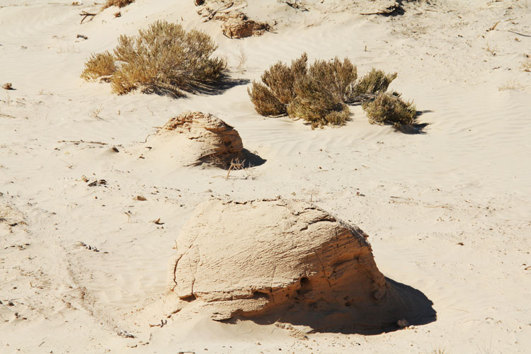 Le sable qui est chassé par le vent découvre des dunes fossiles.