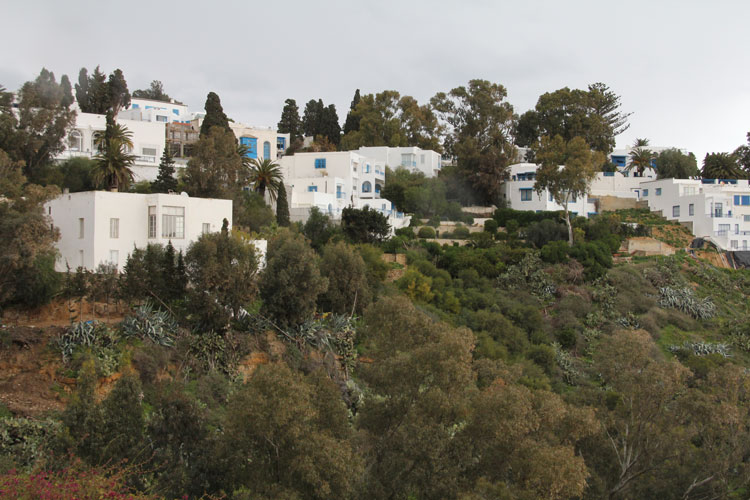 Toujours depuis le palais, panorama sur le village de Sidi Bou Saïd.