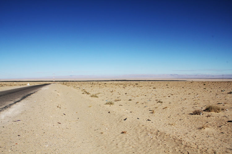A l’horizon, la palmeraie Ebnou Chabbat. Son implantation est récente dans un environnement désertique.