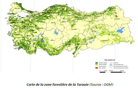 Les zones forestières en Turquie © OGM