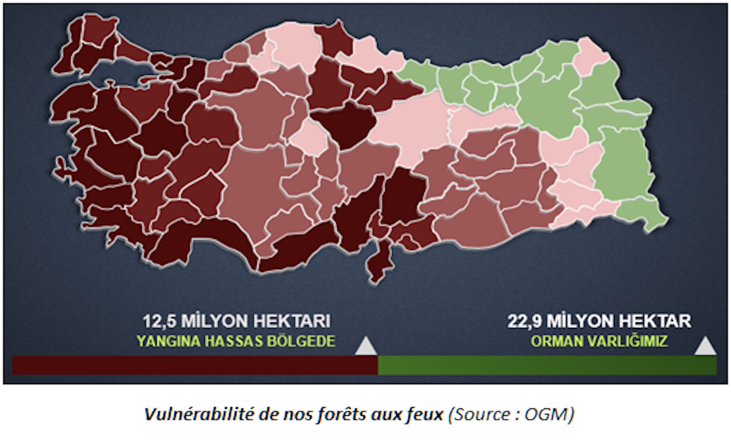 Vulnérabilité des forêts turques aux incendies (rouge foncé = très vulnérable) © OGM