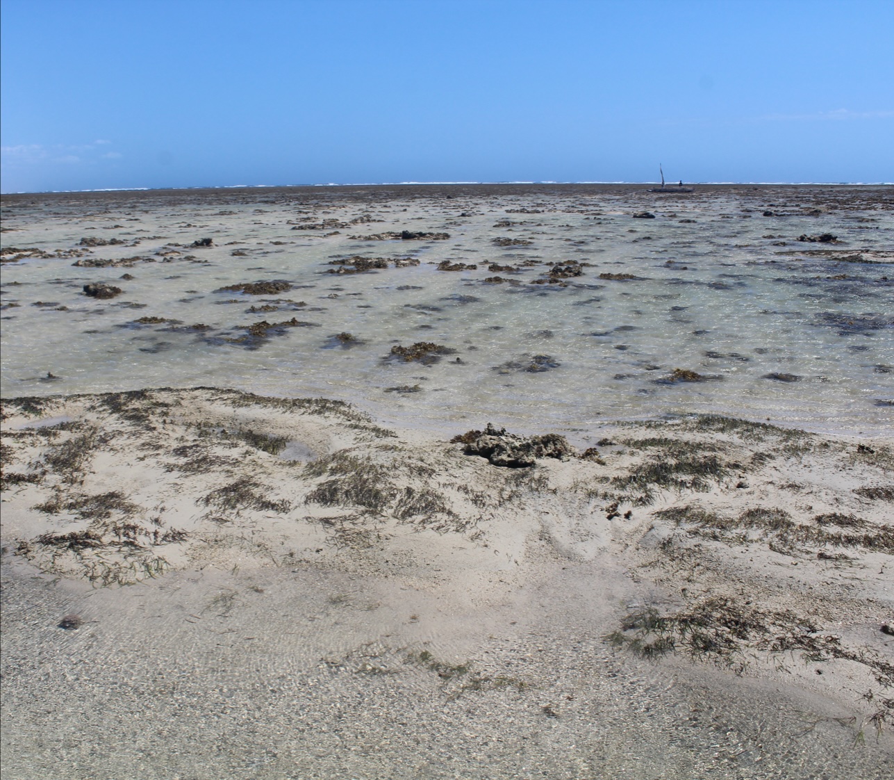 Un platier récifal ensablé à Songeritelo, au nord de Toliara © Gildas/IH.SM